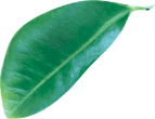 img slider3 1